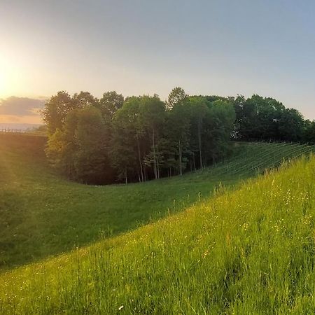 Agriturismo L'Eremo Volpago del Montello Екстер'єр фото