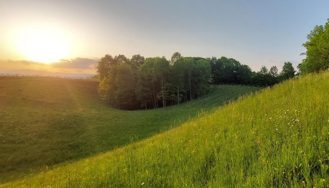 Agriturismo L'Eremo Volpago del Montello Екстер'єр фото